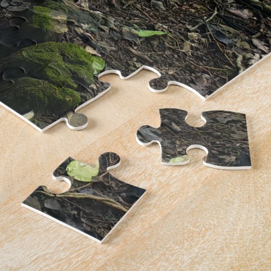 Puzzle Challenging walk through Guatemalan rain forest  (Côté)