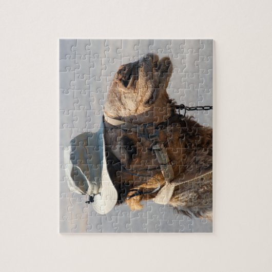 Puzzle Chameau dans un casquette ! (Vertical)