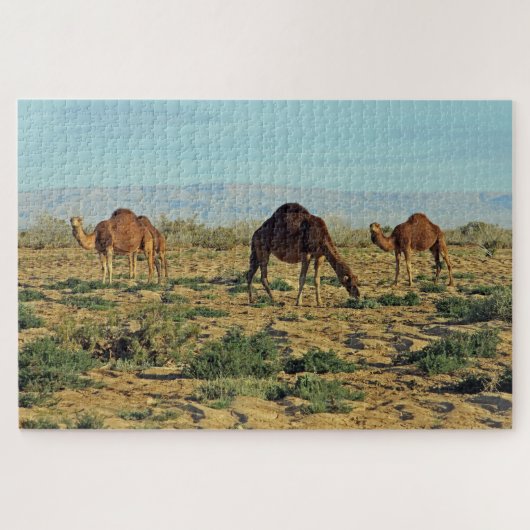 Puzzle Chameaux, Tunisie 1014-pc (Horizontal)