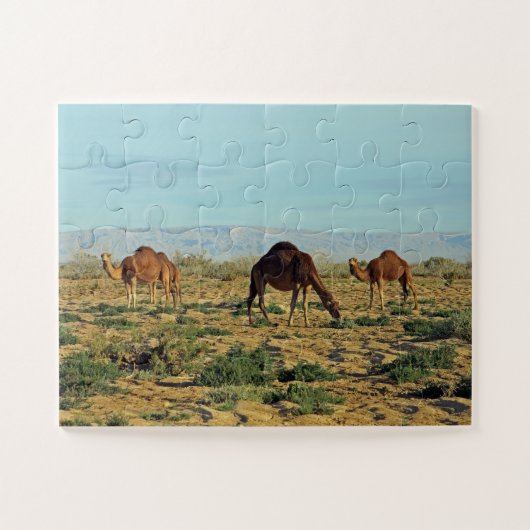 Puzzle Chameaux, Tunisie 30- (Horizontal)