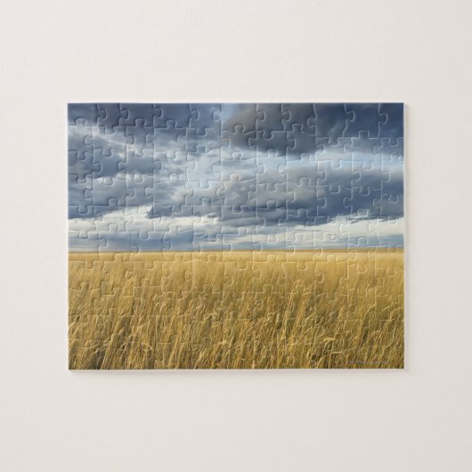 Puzzle Champ avec des nuages de tempête (Horizontal)