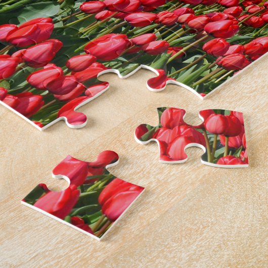 Puzzle Champ coloré de tulipe (Côté)