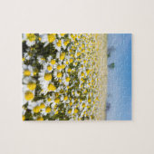 Puzzle Champ de camomille, Hongrie (Horizontal)
