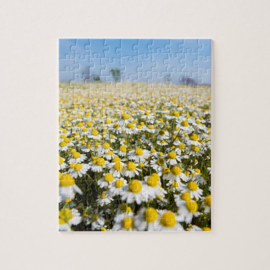 Puzzle Champ de camomille, Hongrie (Vertical)