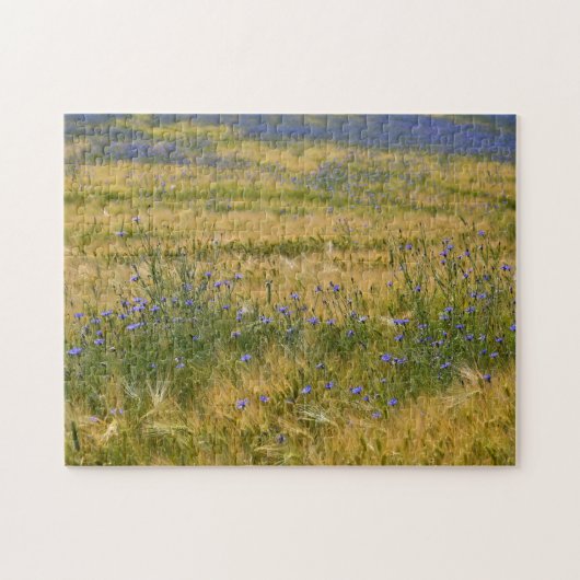 Puzzle Champ de Cornflowers (Horizontal)