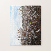 Puzzle Champ de coton Missouri. (Vertical)