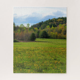 Puzzle Champ de fleurs