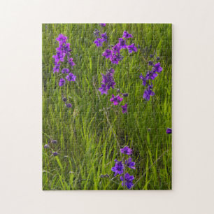 Puzzle Champ de fleurs de larkspur violet