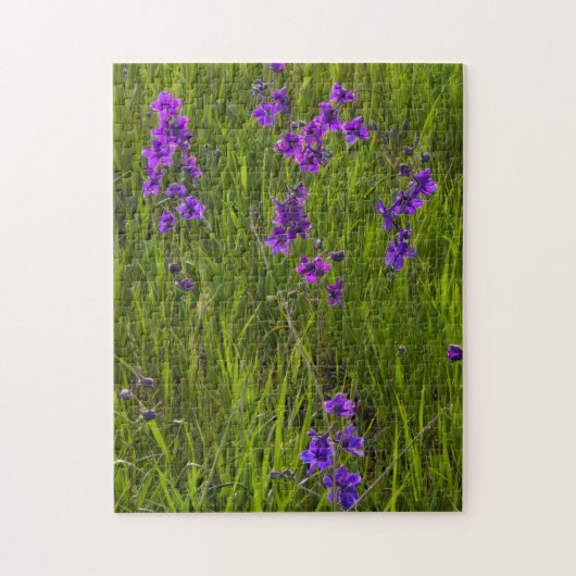 Puzzle Champ de fleurs de larkspur violet (Vertical)