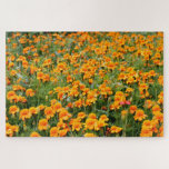 Puzzle Champ de Fleurs de Marigold difficile<br><div class="desc">Avez-vous beaucoup de temps pour tuer ? Eh bien,  ce puzzle puzzle peut certainement aider à cet égard! Présente une photographie d'un champ de fleurs de marigold de couleur orange - ce qui représente un défi important en termes de résolution du puzzle.</div>