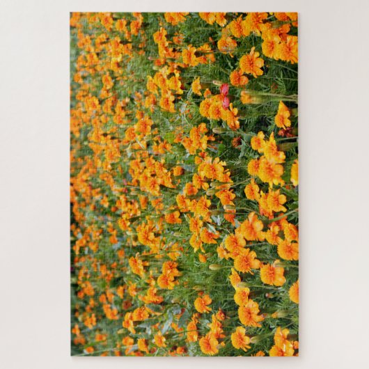 Puzzle Champ de Fleurs de Marigold difficile (Vertical)