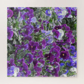 Puzzle Champ De Fleurs Violettes 8420 Pansies (Horizontal)
