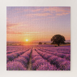 Puzzle Champ de lavande en fleurs au coucher de soleil do