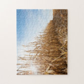 Puzzle Champ de maïs en partie moissonné (Vertical)