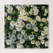 Puzzle Champ de marguerite du printemps : Arrière - plan  (Horizontal)