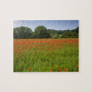 Puzzle Champ de pavot, Chiusi, Italie