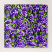 Puzzle Champ de Purple Pansy (Horizontal)