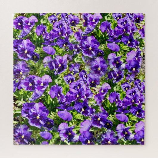 Puzzle Champ de Purple Pansy (Vertical)