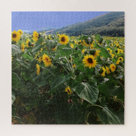 Puzzle Champ de tournesol Dans le sud de la France (Vertical)