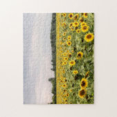 Puzzle Champ de tournesol photo (Vertical)