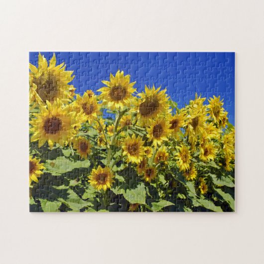 Puzzle Champ de tournesols (Horizontal)