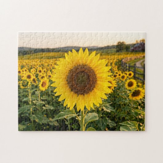 Puzzle Champ de tournesols (Horizontal)