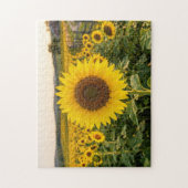 Puzzle Champ de tournesols (Vertical)