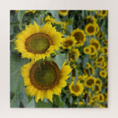 Puzzle Champ de tournesols - 20x20 pouces (Horizontal)