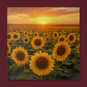 Puzzle Champ de Tournesols Dorés au Coucher du Soleil