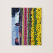 Puzzle Champ de tulipes (Vertical)