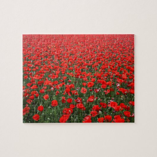 Puzzle Champ des pavots rouges (Horizontal)