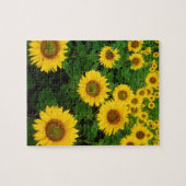 Puzzle Champ des tournesols (Horizontal)