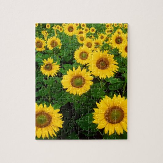 Puzzle Champ des tournesols (Vertical)