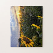 Puzzle Champ des tournesols de floraison (Vertical)