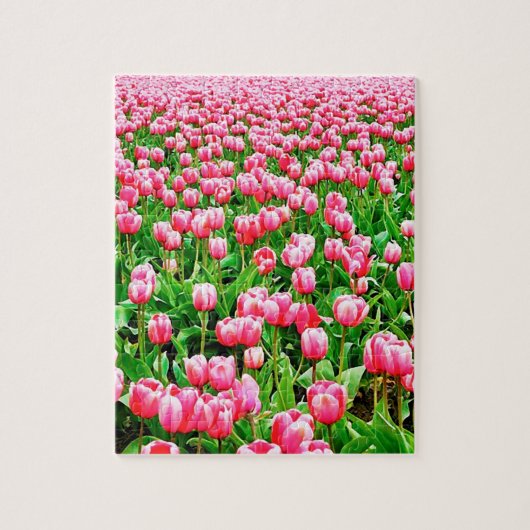 Puzzle Champ des tulipes roses (Vertical)
