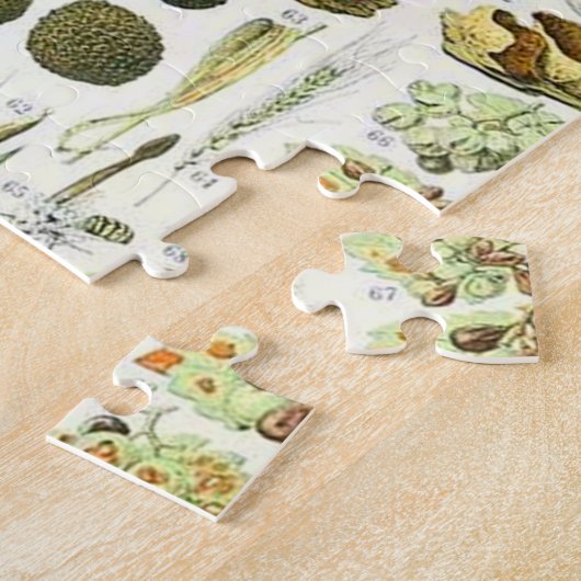 Puzzle Champignon Adolphe Millot (Côté)