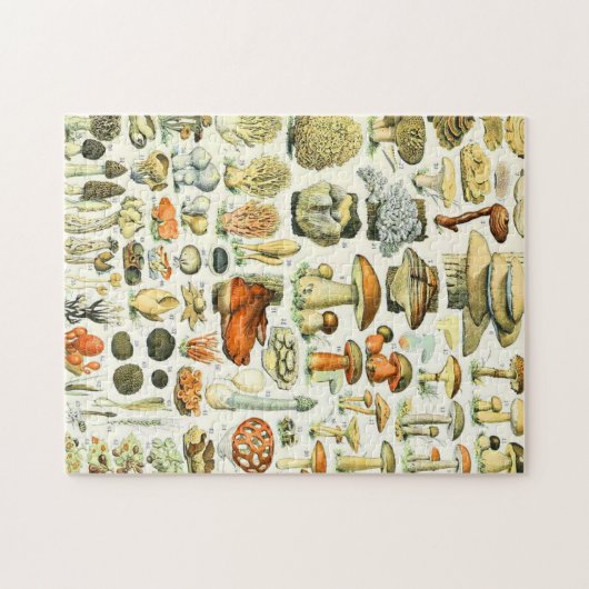 Puzzle Champignon Adolphe Millot (Horizontal)