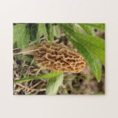 Puzzle Champignon de morelle (Horizontal)