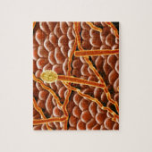 Puzzle Champignon de rouille pulvérulente sur la (Vertical)