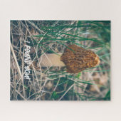 Puzzle Champignon Morel Spring (Horizontal)