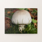 Puzzle Champignons de campagne dans une forêt (Horizontal)