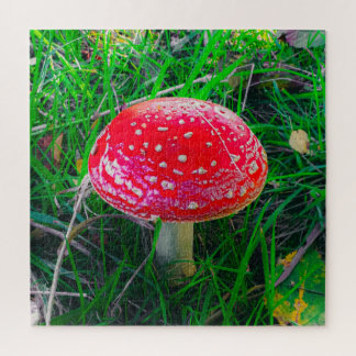 Puzzle Champignons de champignons magiques Rouge Nature P
