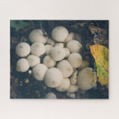 Puzzle Champignons de la boule blanche parmi les feuilles (Horizontal)