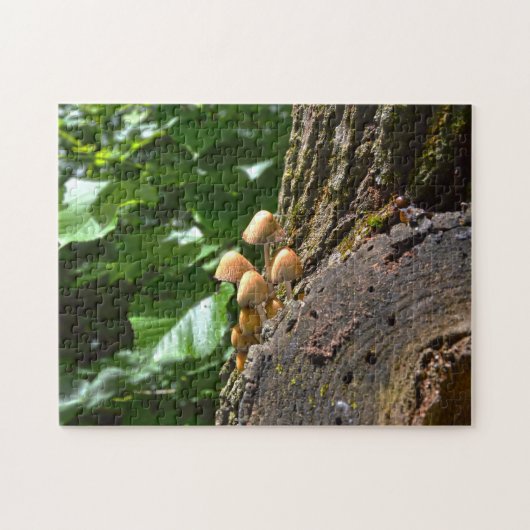 Puzzle Champignons d'hiver Canada. (Horizontal)