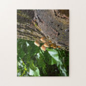 Puzzle Champignons d'hiver Canada. (Vertical)