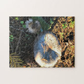 Puzzle Champignons, Oregon (Horizontal)