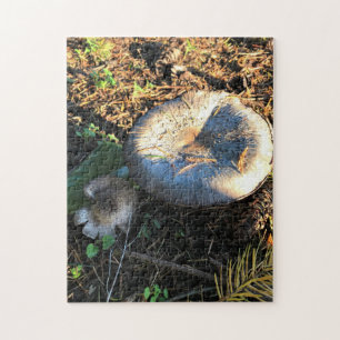 Puzzle Champignons, Oregon