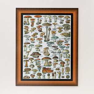 Puzzle Champignons Pour Tous ~ Champignons Pour Tous ~