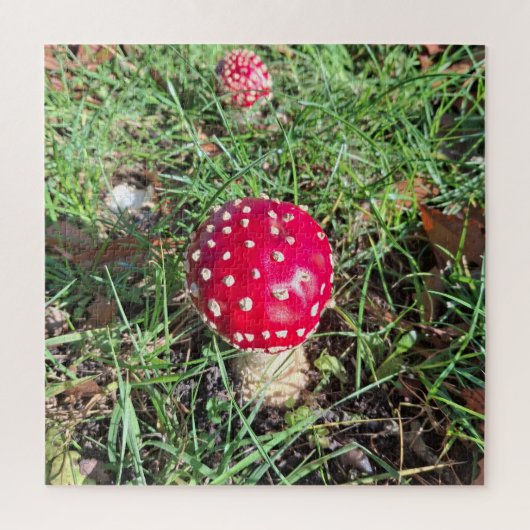 Puzzle Champignons rouges (Vertical)
