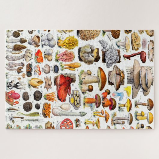 PUZZLE CHAMPIONNATS 2 (Horizontal)